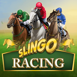 Slingo Racing 19228