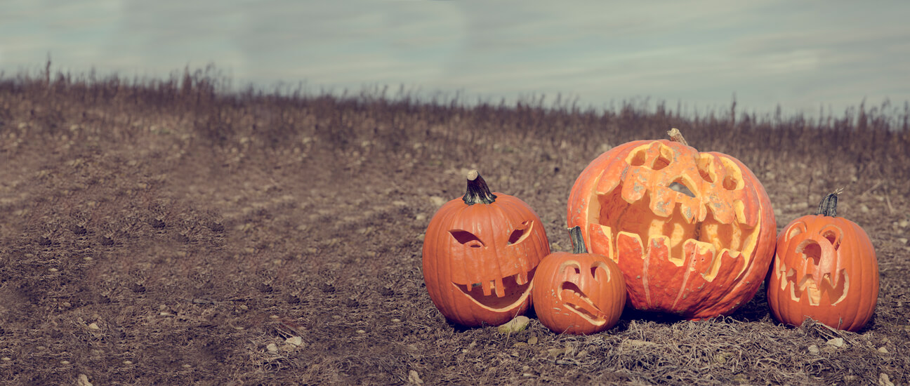 Scarily Happy halloween