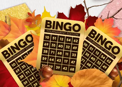 Bingo-vember Bonanza
